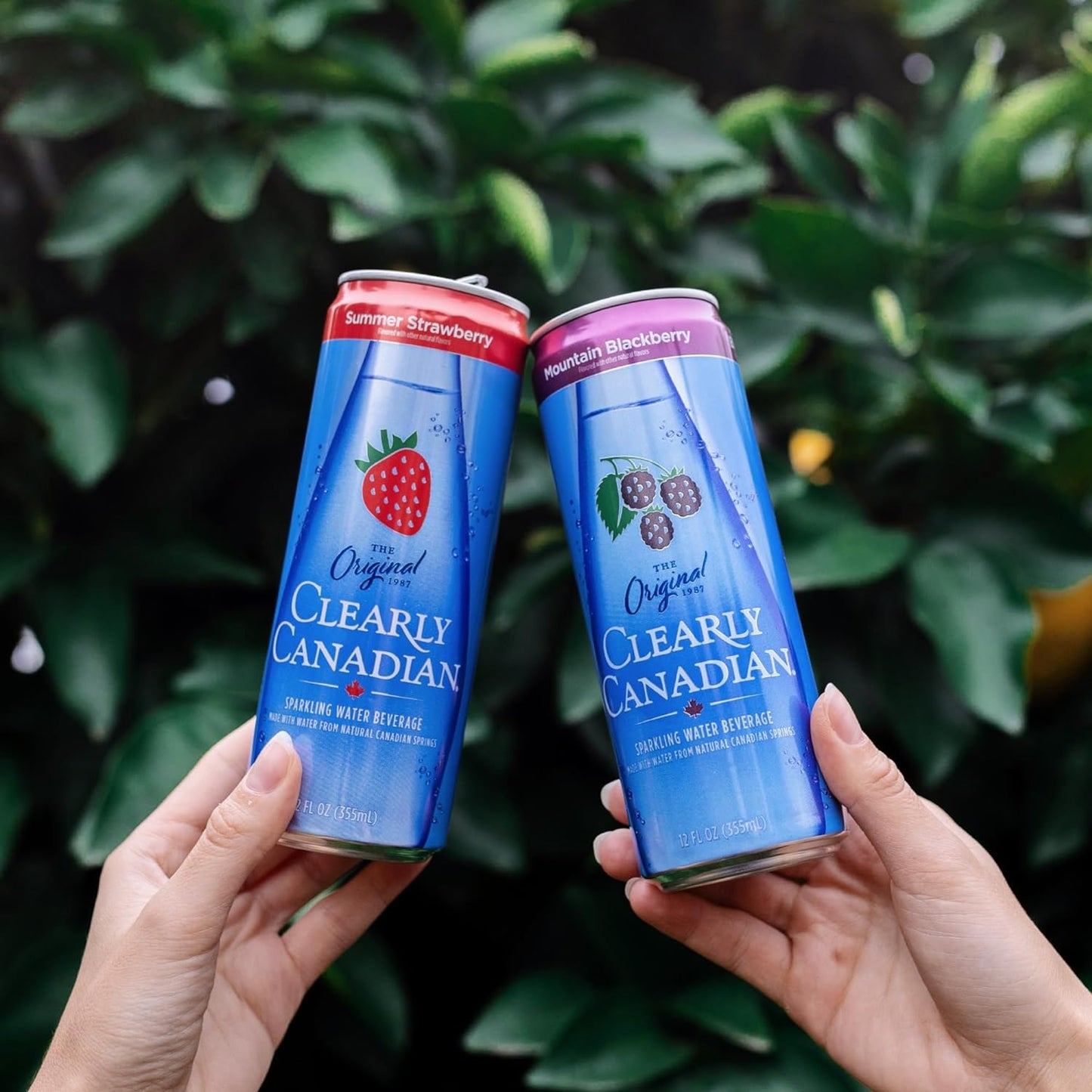Clearly Canadian Mountain Blackberry Sparkling Spring Water Beverage, Natural & Carbonated, Flavored Seltzer Water, 1 Case (24 cans x 12 fl oz)